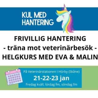 ANMÄLAN helgkurs Frivillig hantering - att träna inför veterinärbesök HÖRBY 21-22-23 januari